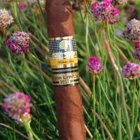 Cohiba Talisman (Limited Edition 2017 - Box code 2019) Cigar - 1 Single